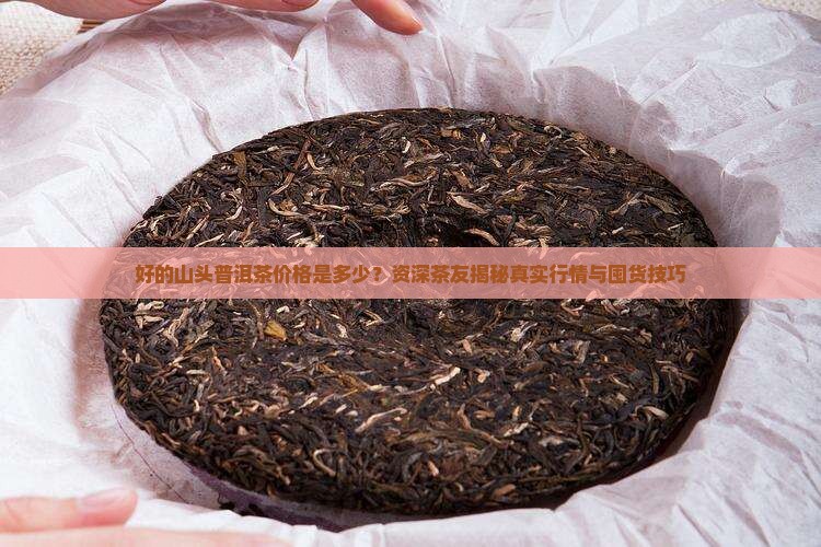好的山头普洱茶价格是多少