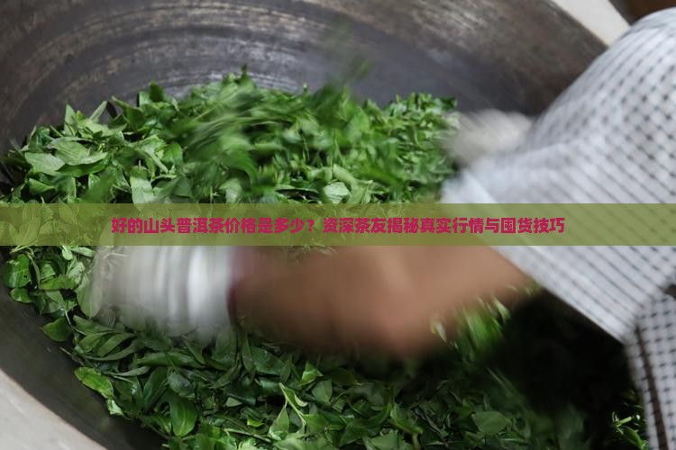 好的山头普洱茶价格是多少