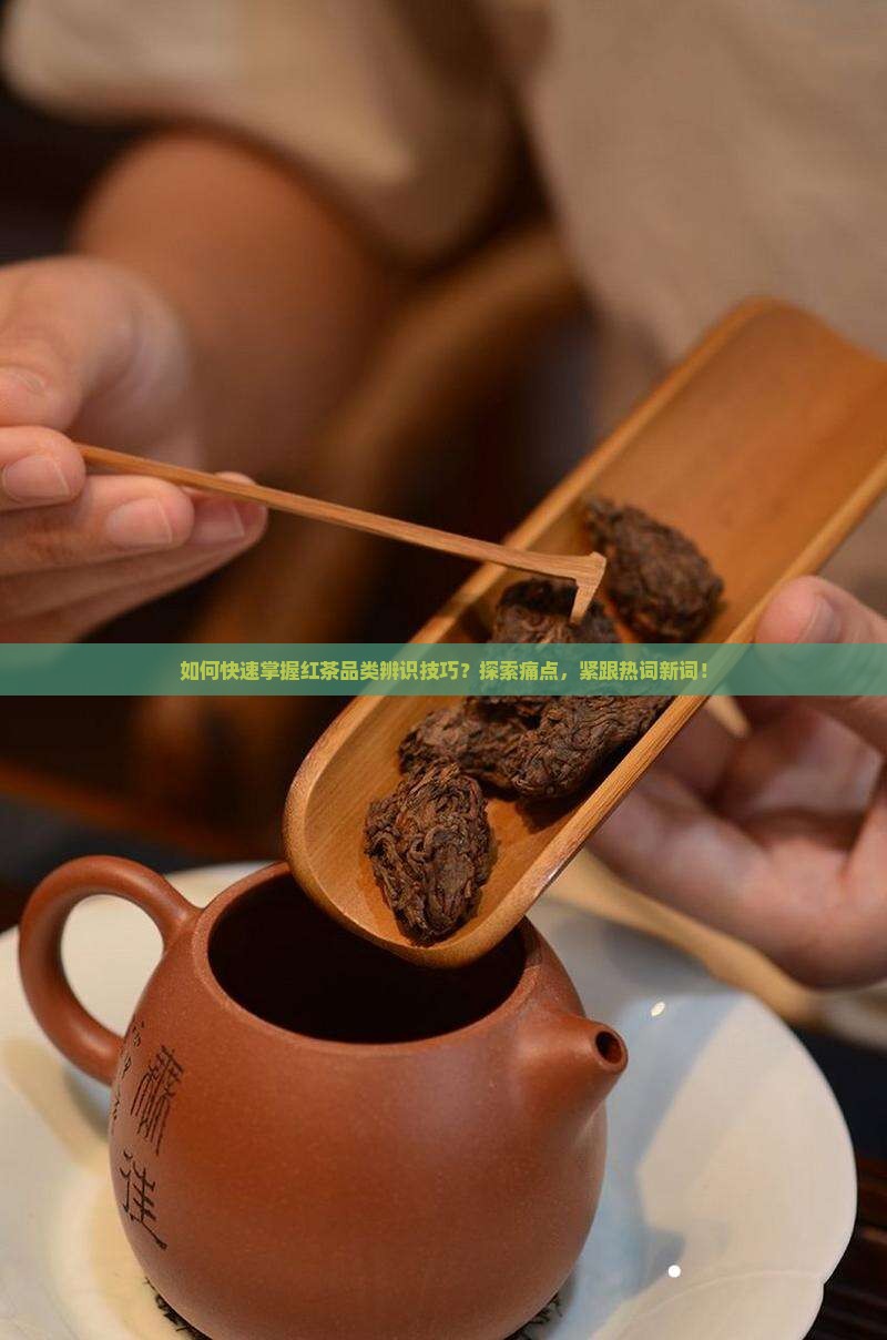 教你如何识别红茶品类