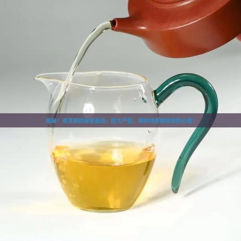 普洱茶的四大产区口感特点