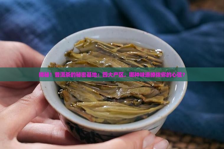 普洱茶的四大产区口感特点