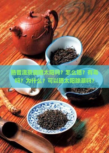 熟普洱茶能晒太阳吗