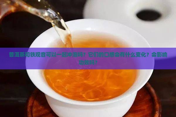 普洱茶铁观音一起冲茶吗