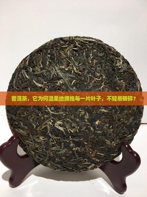 普洱茶为什么不会碎