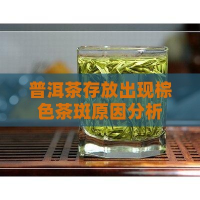 普洱茶存放出棕色茶斑