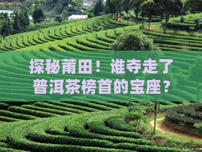 莆田品牌普洱茶排名榜第一