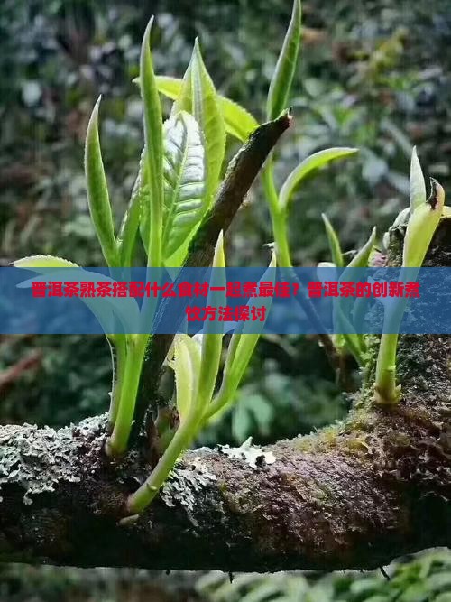 普洱茶熟茶可以加什么煮