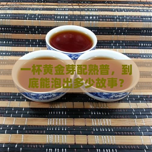 黄金芽介绍熟普能泡几泡