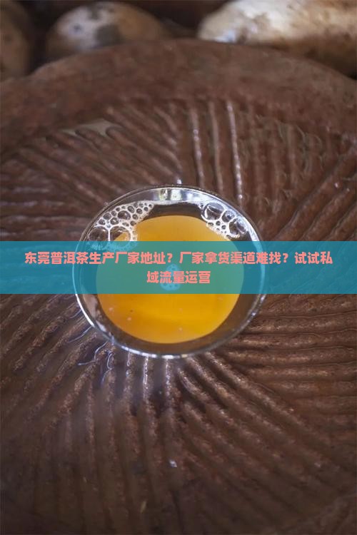东莞普洱茶生产厂家地址