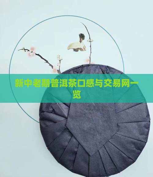 新中老期普洱茶