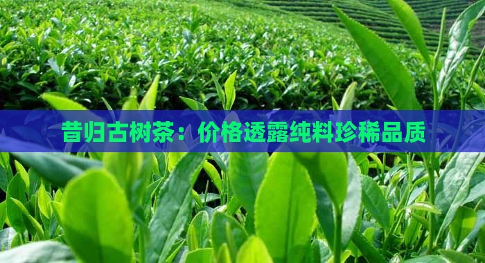 德若堂昔归纯料古树茶