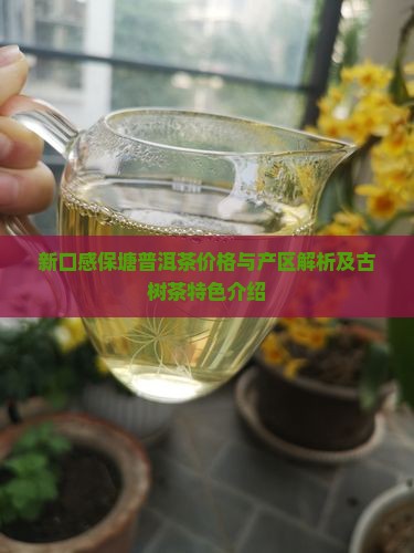 新口感保塘普洱茶