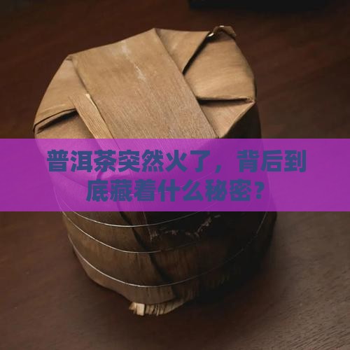 普洱茶为什么大涨价