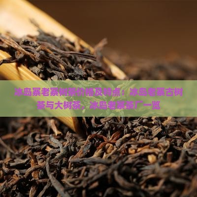 冰岛寨老寨树茶