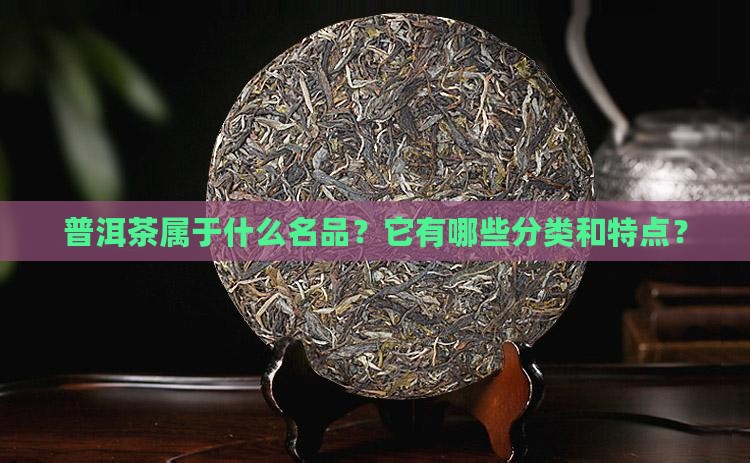 普洱茶属于什么名品