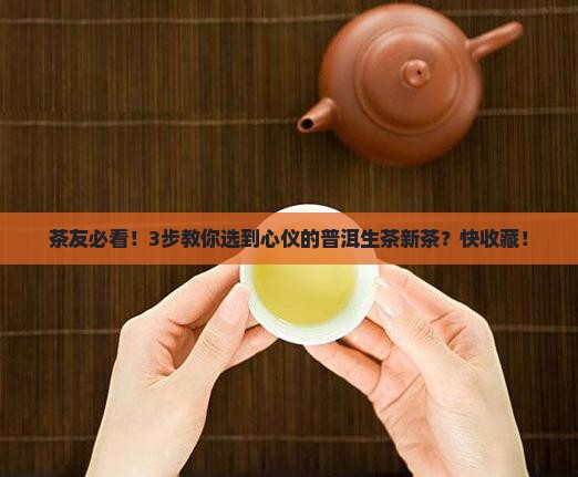 怎样选择普洱生茶新茶