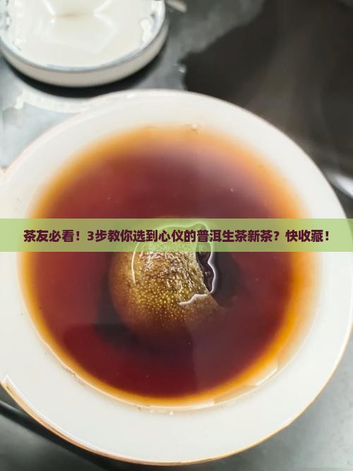 怎样选择普洱生茶新茶