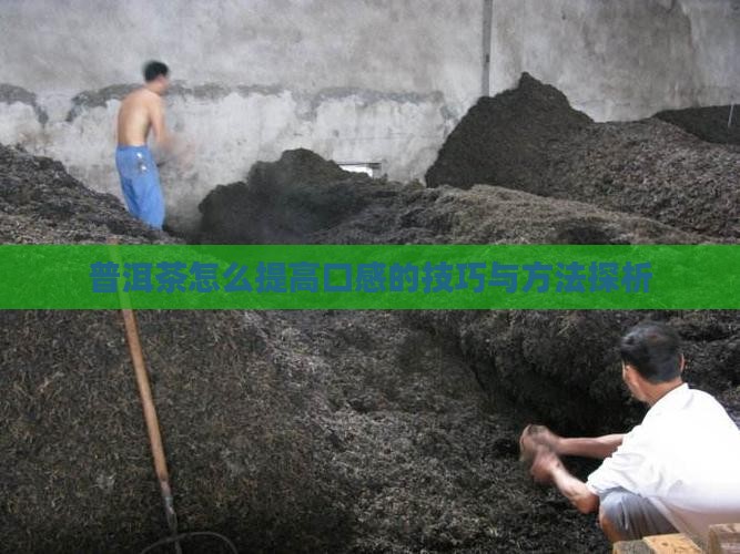 普洱茶怎么提高口感的技巧