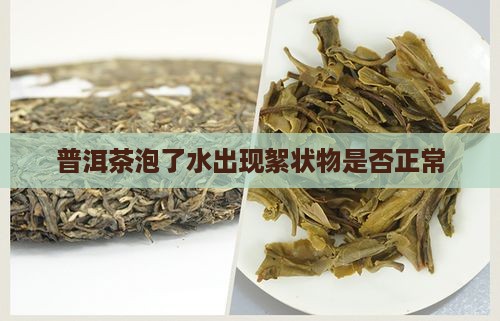 普洱茶泡了水里看有柳絮状