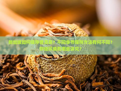 新加坡如何保存普洱茶