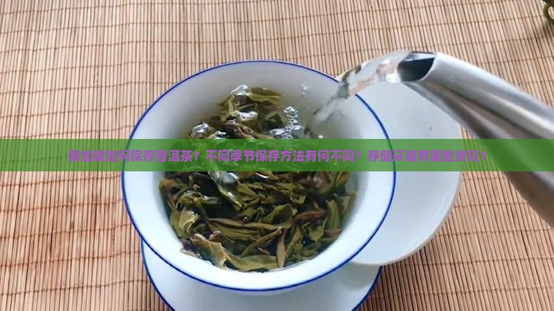 新加坡如何保存普洱茶