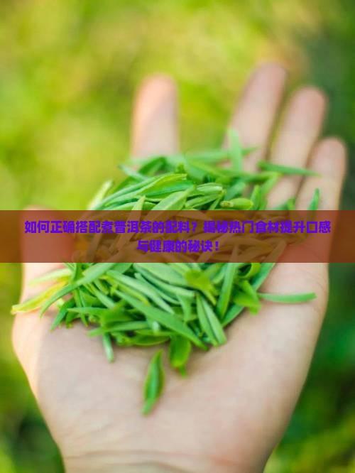 煮普洱茶配料表大全
