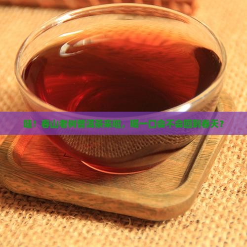 中茶春山老树普洱茶