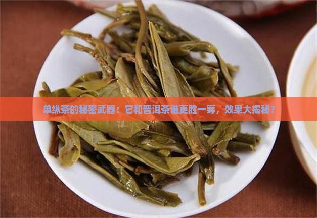 单纵茶和普洱茶的效果