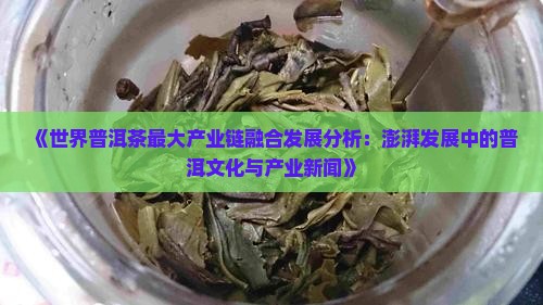 普洱茶最大产业链
