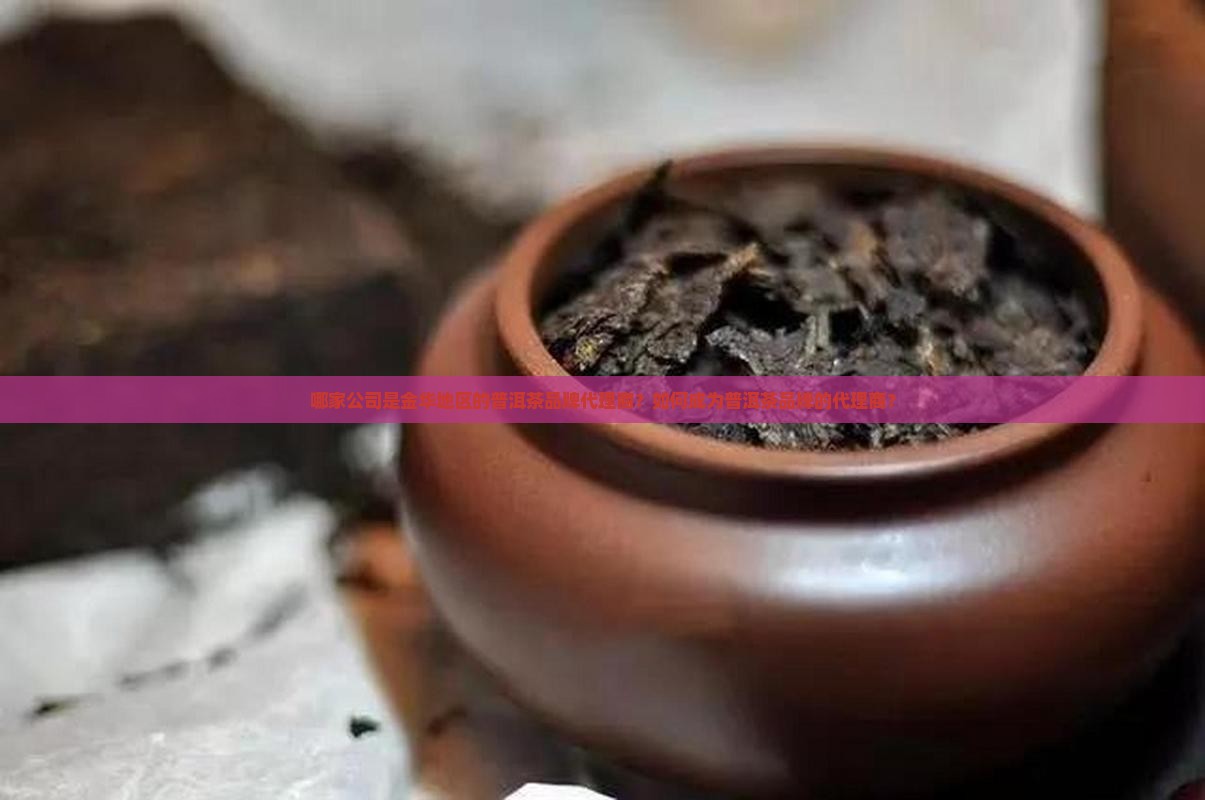 金华普洱茶品牌代理商