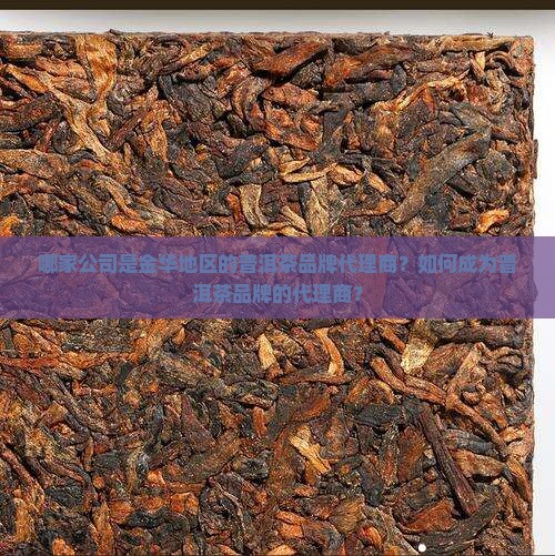金华普洱茶品牌代理商