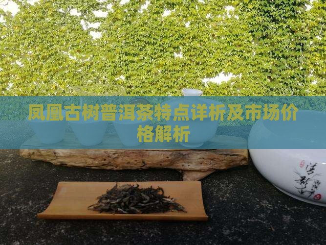 凤凰窝古树茶的特点和价格