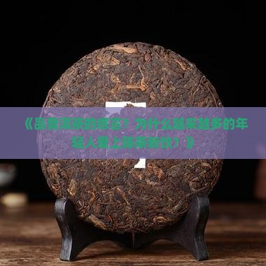 品普洱茶的感言 品普洱茶的感言