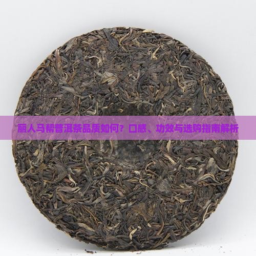 丽人马帮普洱茶怎么样