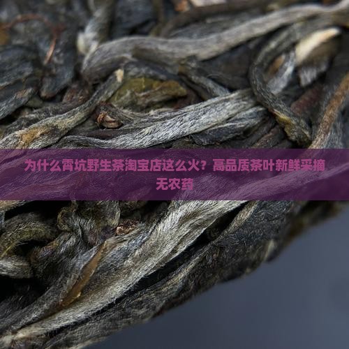 霄坑野生茶淘宝店