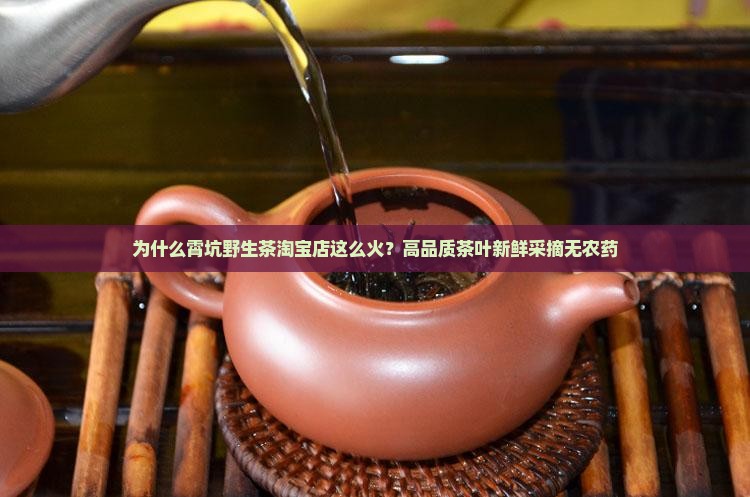 霄坑野生茶淘宝店