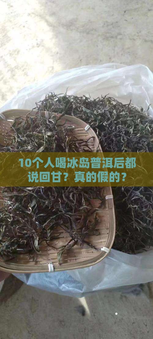 冰岛普洱茶回甘吗
