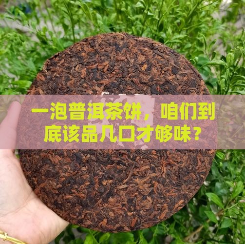 普洱茶饼每次喝多少