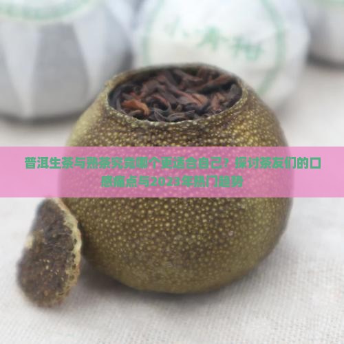 普洱生茶熟茶哪个好