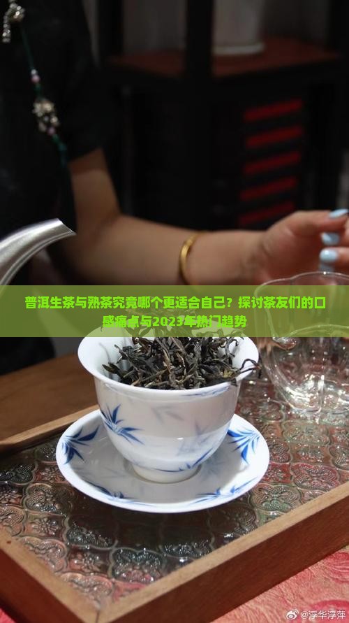 普洱生茶熟茶哪个好