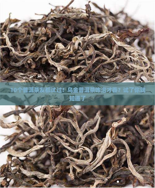乌金普洱茶怎么泡好喝窍门