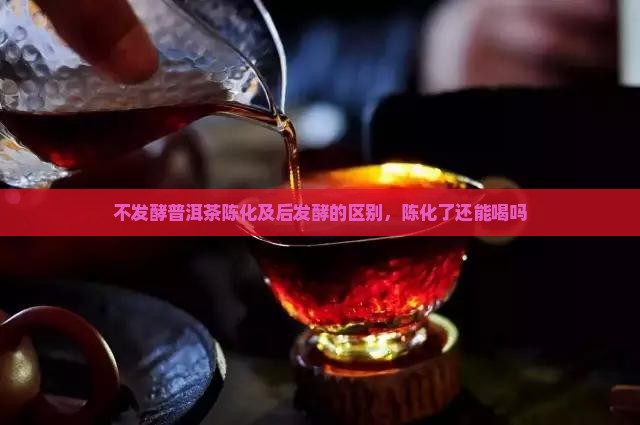 不发酵普洱茶陈化