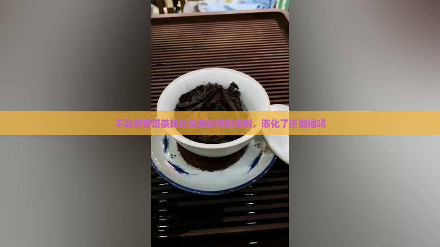 不发酵普洱茶陈化