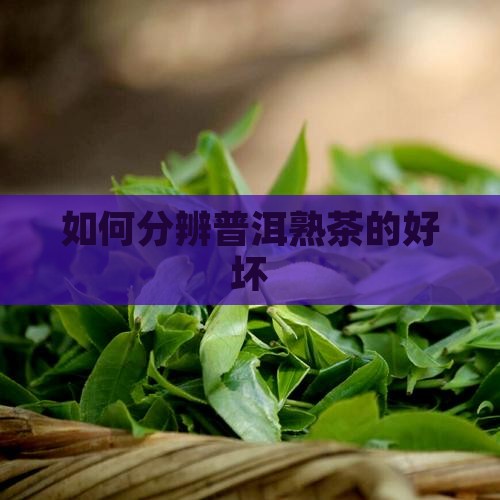 怎样分辨普洱茶熟茶的好坏