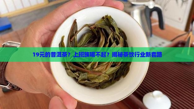 19元的普洱茶