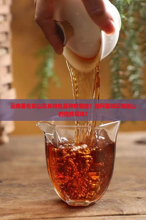 云南名茶山有哪些