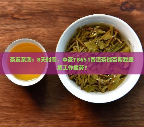 中茶t8651普洱茶