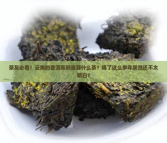 云南的普洱茶属于哪种茶叶