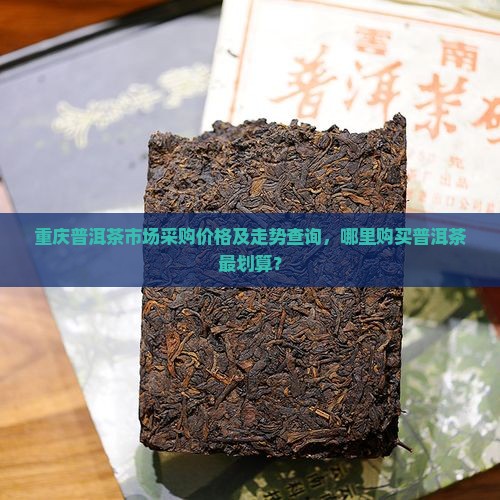重庆普洱茶采购价格查询