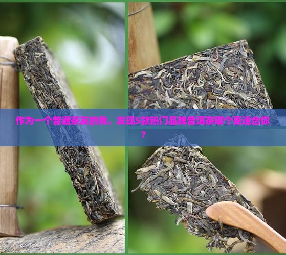 各品牌的普洱茶